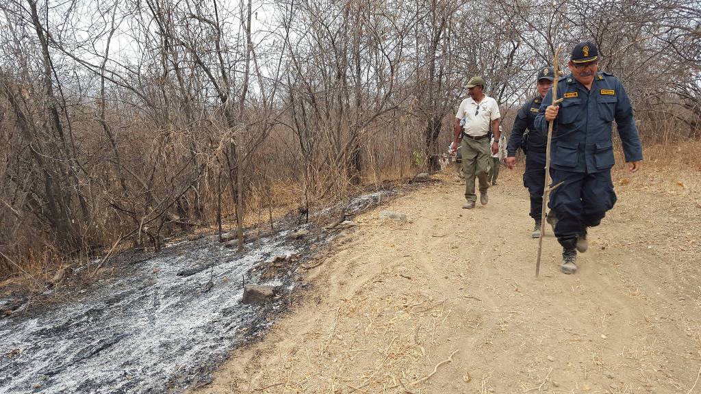 incendio-en-amotape-sernanp