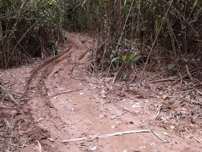 actualidad_ambiental_reserva_tambopata_3