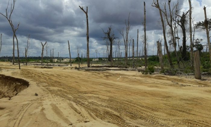 actualidad_ambiental_reserva_tambopata_5