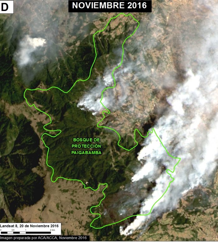 incendios_forestales_actualidad_ambiental_maap_8