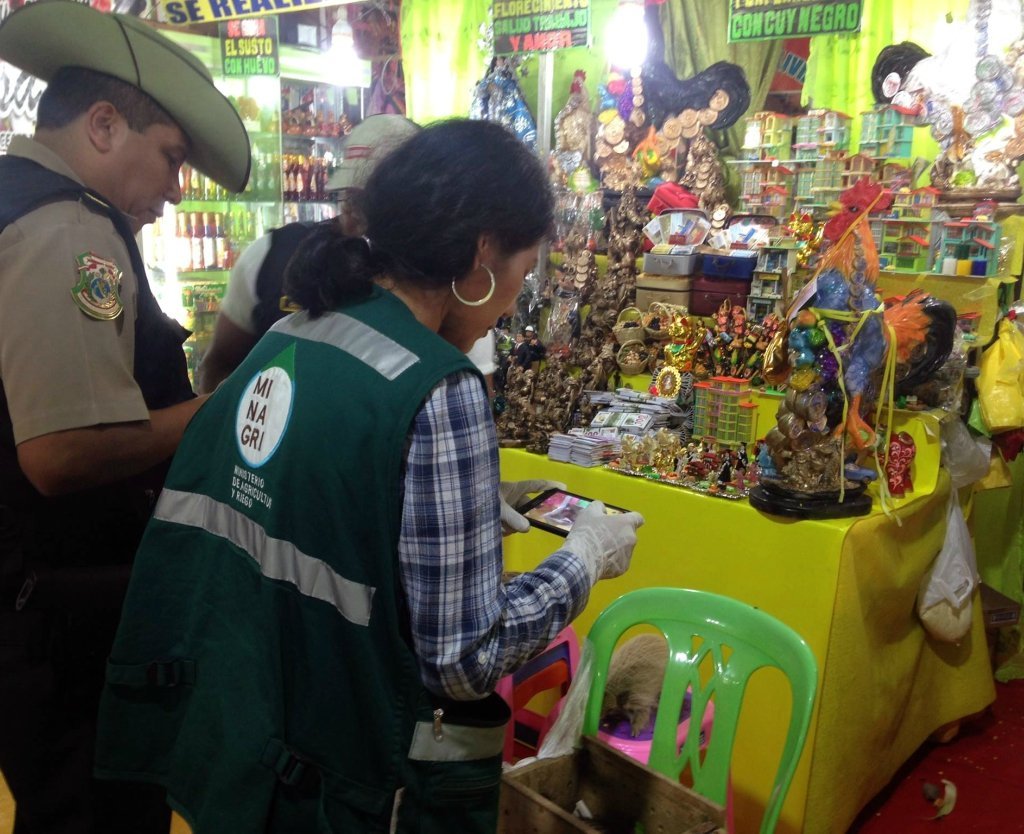 trafico_fauna_silvestre_quirquincho_andino_actualidad_ambiental_2