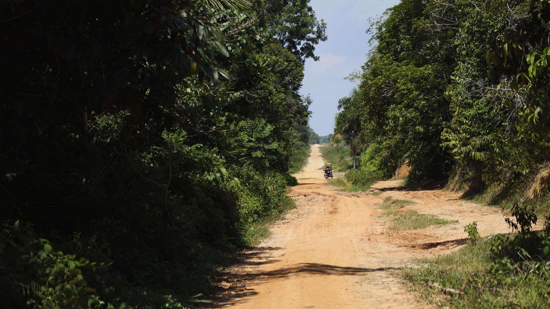 Vía entre Jenaro Herrera y Colonia Angamos, en Loreto. La carretera busca llegar hasta la frontera con Brasil. (Foto: Vico Méndez).