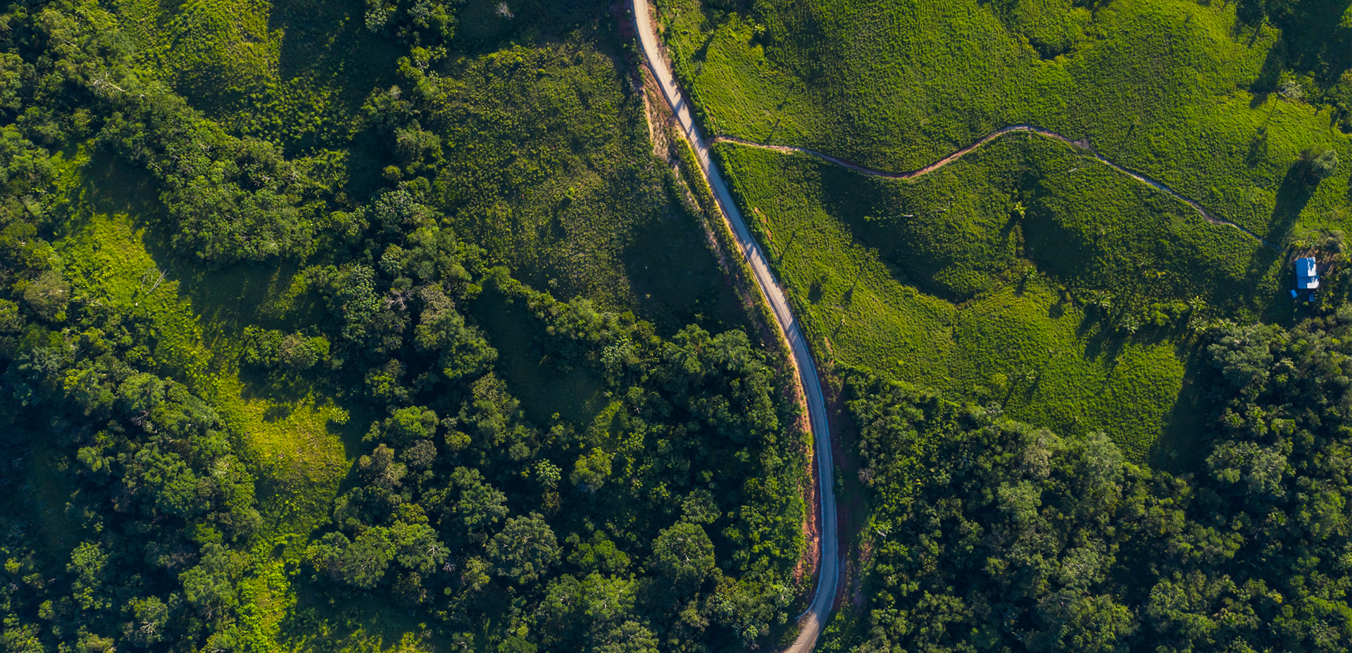 Trayecto entre Yurimaguas y Jeberillos, primer tramo de la carretera que busca llegar hasta Jeberos. (Foto: Diego Pérez).