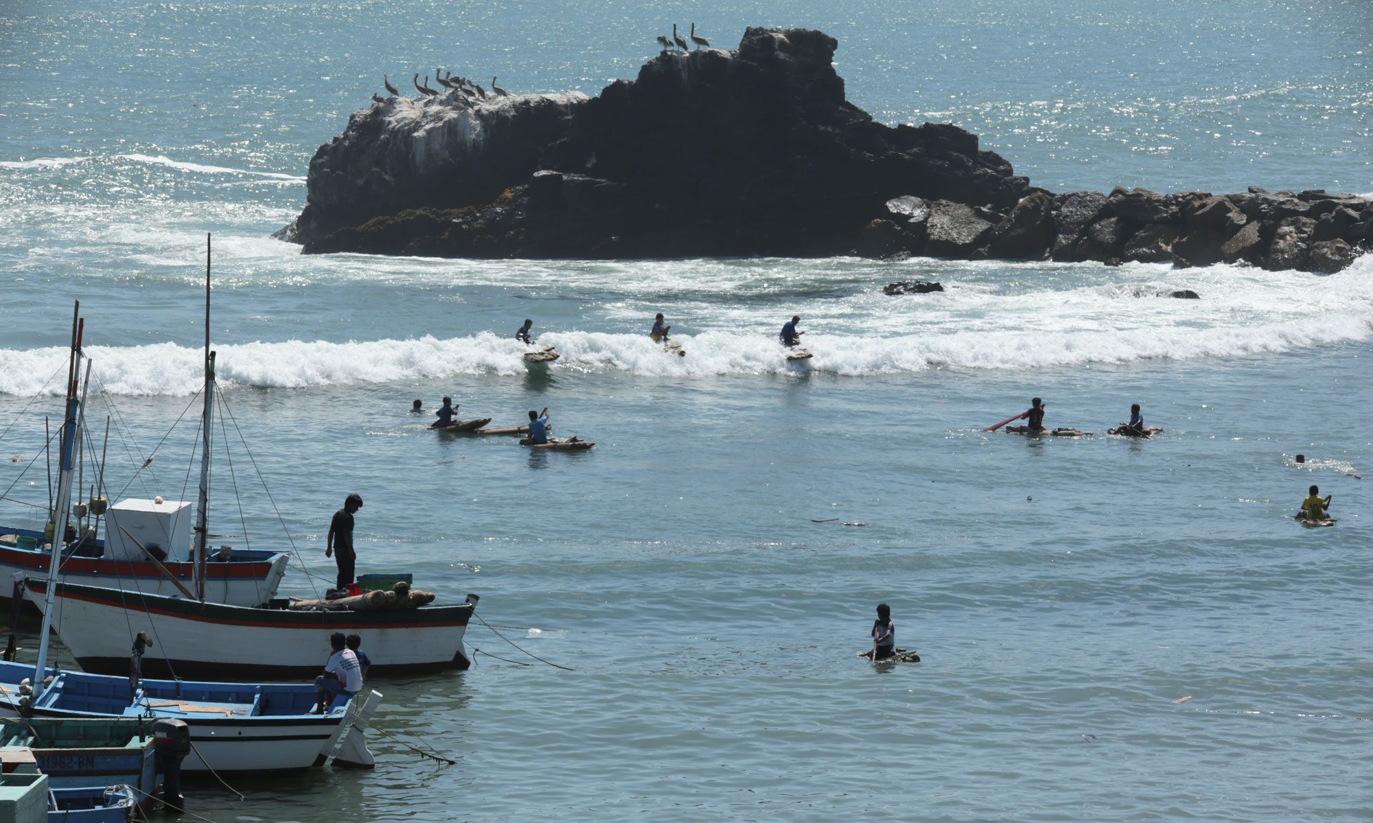 Hacia una gobernanza marina | SPDA Actualidad Ambiental