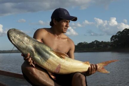 Paiche. Foto: Thomas Müller