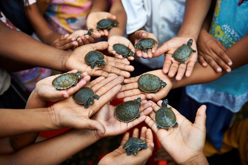 Taricayas. Foto: Thomas Müller