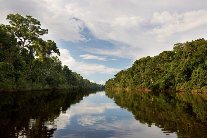 Actualidad_ambiental_Pacaya samiria 4