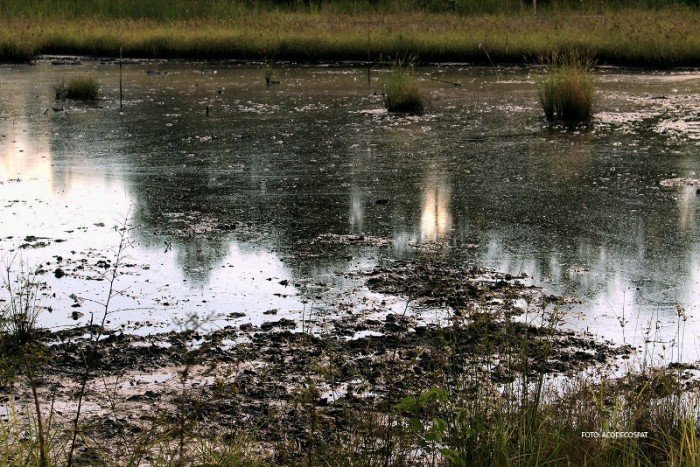 laguna_pluspetrol