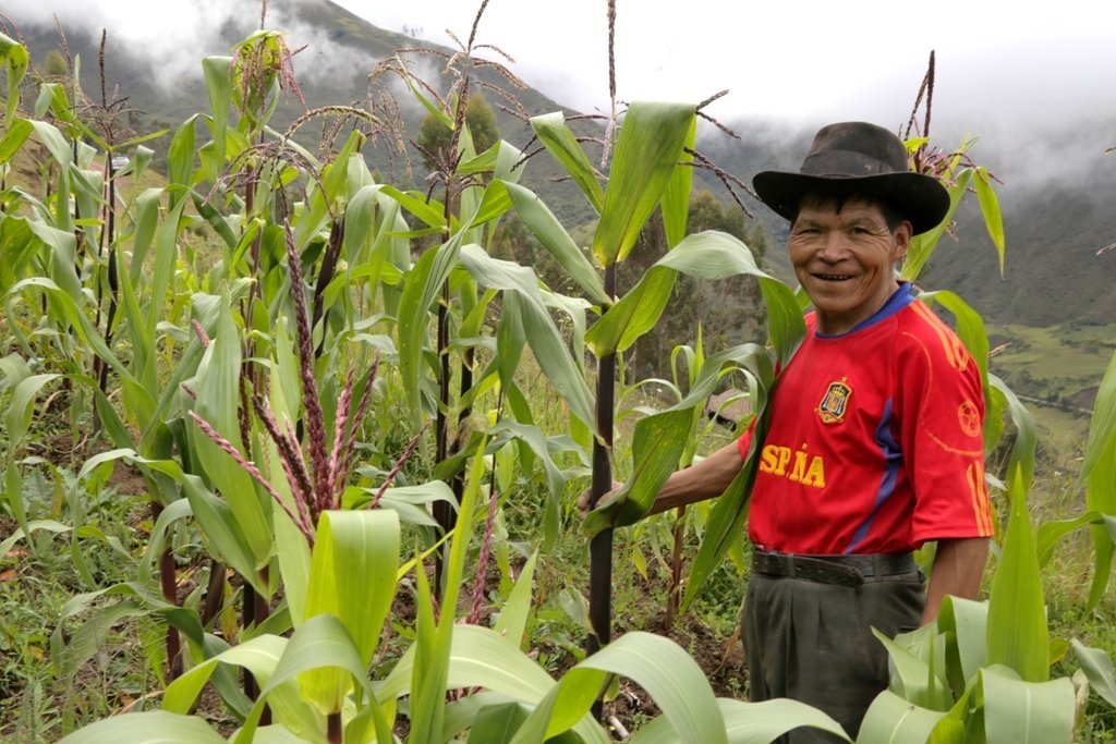 3. *Cuántos peruanos se dedican a la agricultura? 