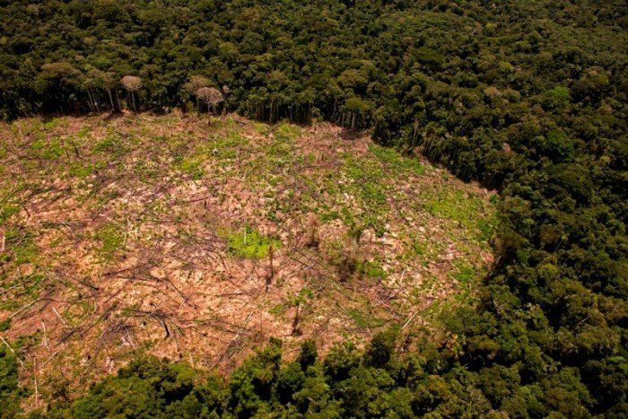 Sierra del Divisor_deforestación_SPDA1