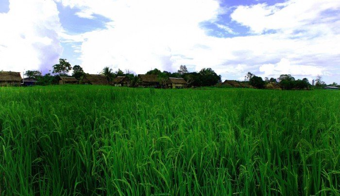 Zonas de agrobiodiversidad_Loreto_SPDA