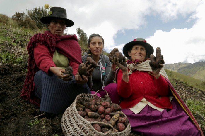 agricultura_huánuco_spda