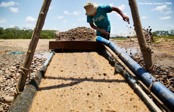 minero ilegal en madre de dios