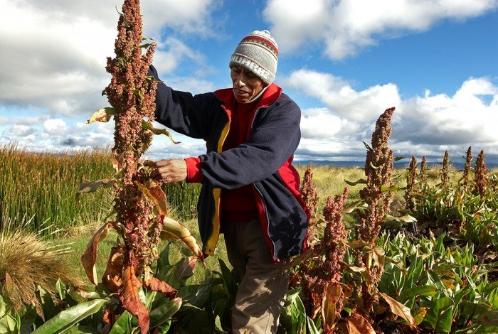 Agricultor quinua_Thomas Muller_SPDA