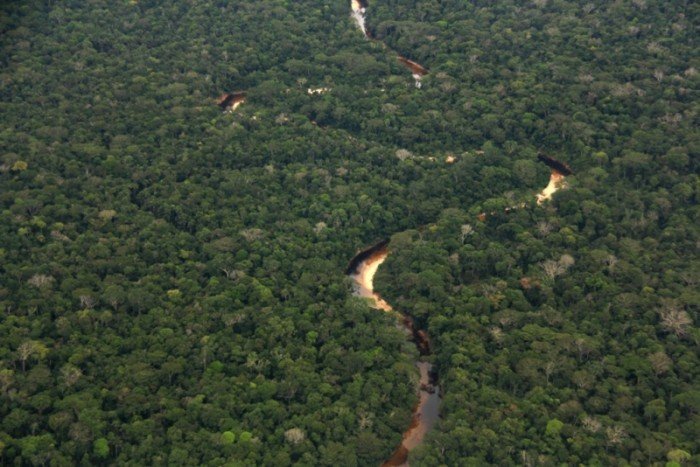 Bosque Amazonico Sur Occidental, Llanura amazónica 3