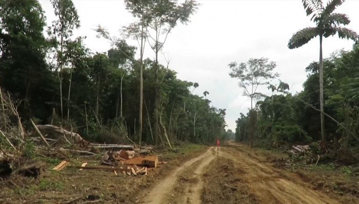 carretera_actualidad_ambiental_fenamad_nueva_eden_puerto_shipetiari_madre_dios