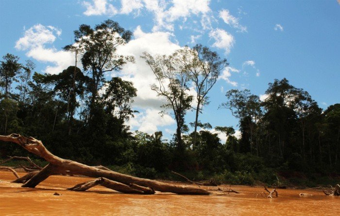 reserva_nacional_tambopata_madre_dios_mineria_12