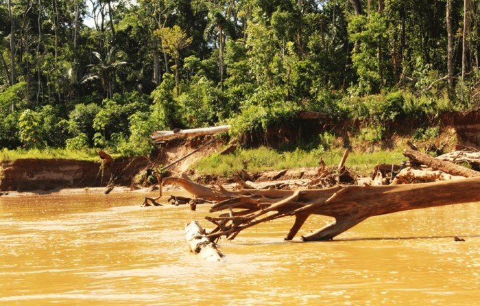 reserva_nacional_tambopata_madre_dios_mineria_15