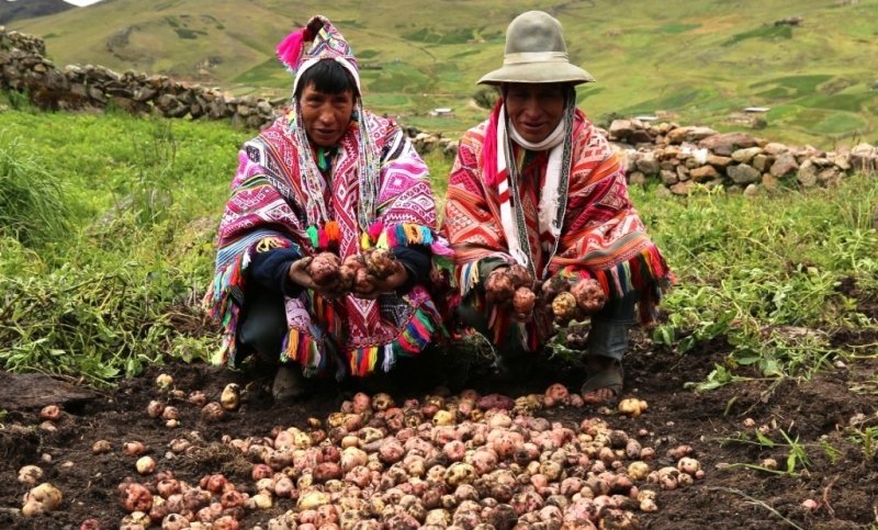 Agrobiodiversidad_Cusco_SPDA