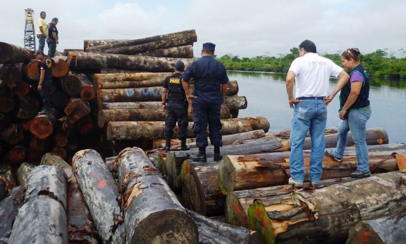 Ucayali: autoridades forestales intervienen cargamentos de madera ilegal | SPDA Actualidad Ambiental