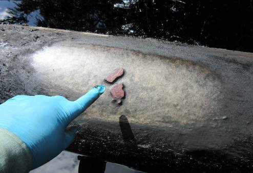 Oleoducto Norperuano sufrió desgaste por efectos de corrosión severa. Foto_OEFA