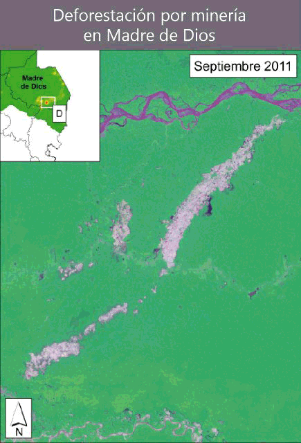 deforestacion-por-mineria-MDD