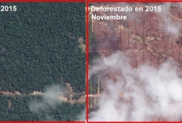 deforestacion en tamshiyacu - maap