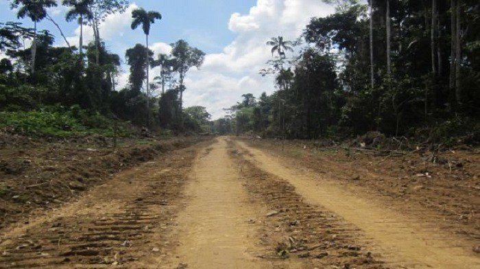 gobierno_regional_madre_de_dios_mineria_ilegal_actualidad_ambiental_10