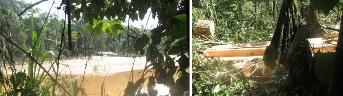 reserva_nacional_tambopata_madre_de_dios_actualidad_ambiental_4