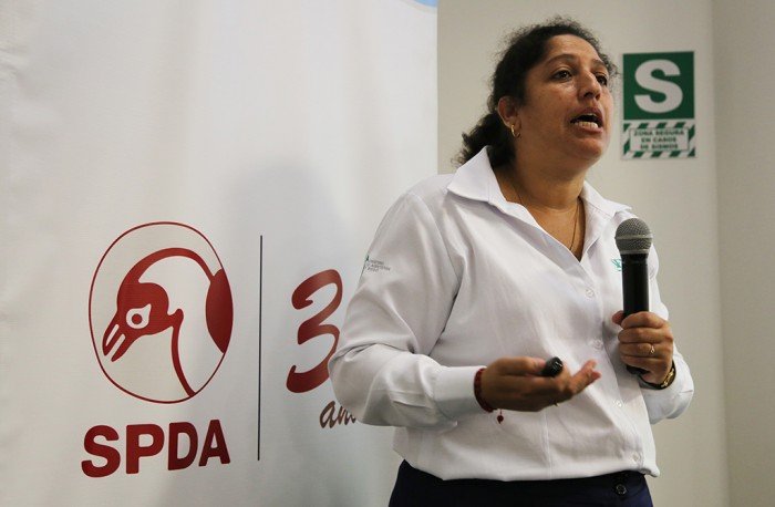 castana_actualidad_ambiental_madre_de_dios_06