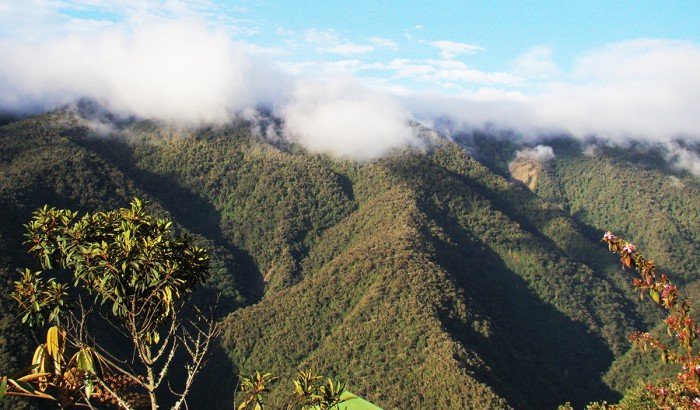 Concesion_conservacion_alto_pilcomayo_actualidad_ambiental_01