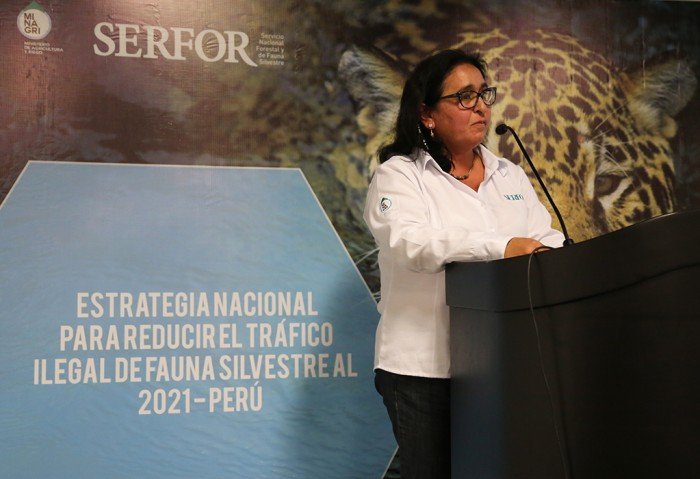 estrategia_trafico_fauna_silvestre_serfor_actualidad_ambiental_07