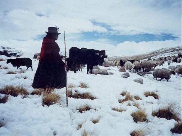 friaje puno - peru com