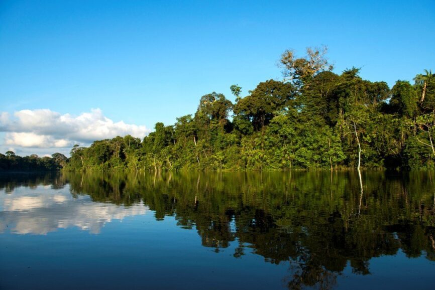 Yaguas, belleza y biodiversidad