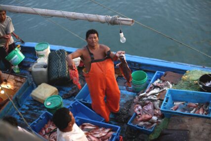 02 pacifico tropical