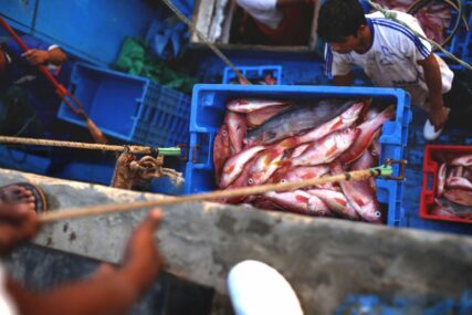 03 pacifico tropical