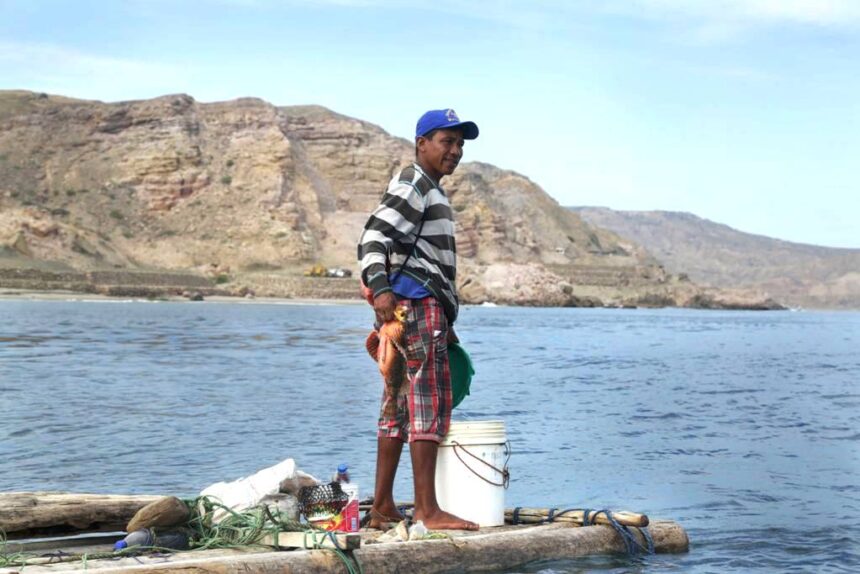 09 pacifico tropical