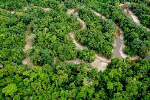 Yaguas, belleza y biodiversidad