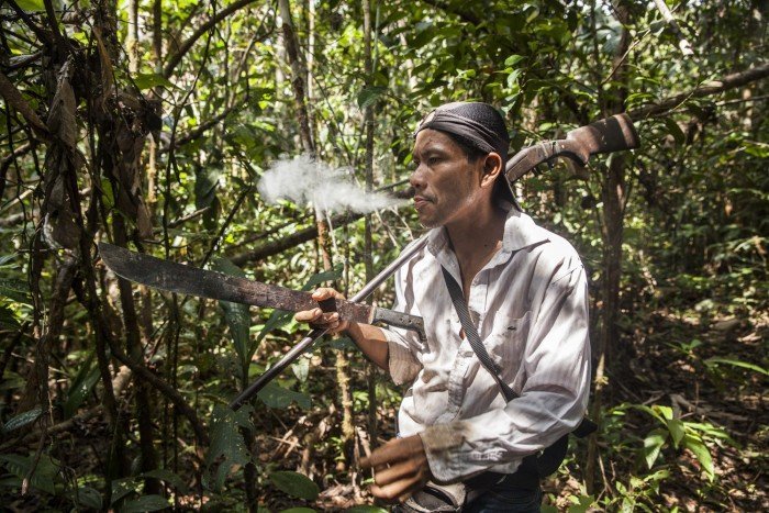 El destino para la caza será una colpa donde los animales suelen detenerse a beber y alimentarse de la sal de la tierra. Machete en mano para abrir trocha, Carlos también lleva consigo 10 cartuchos en su canguro, máxima cantidad permitida por los acuerdos para cada sesión de caza.