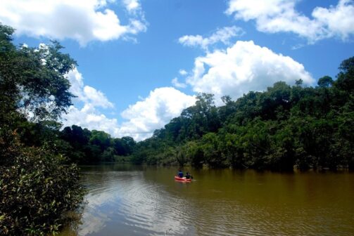 Yaguas, belleza y biodiversidad