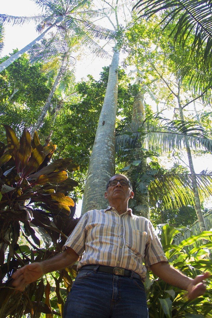 Víctor Zambrano con árboles de lupuna