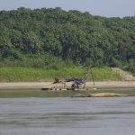 Minería ilegal_dragas_río Madre de Dios 3