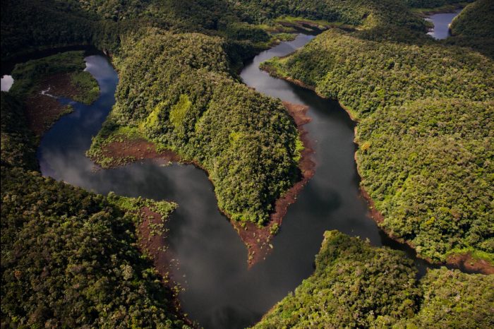 alto_purus_ucayali_actualidad_ambiental