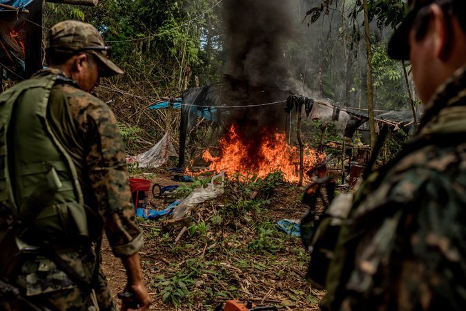 madre_de_dios_actualidad_ambiental_reserva_nacional_tambopata_3