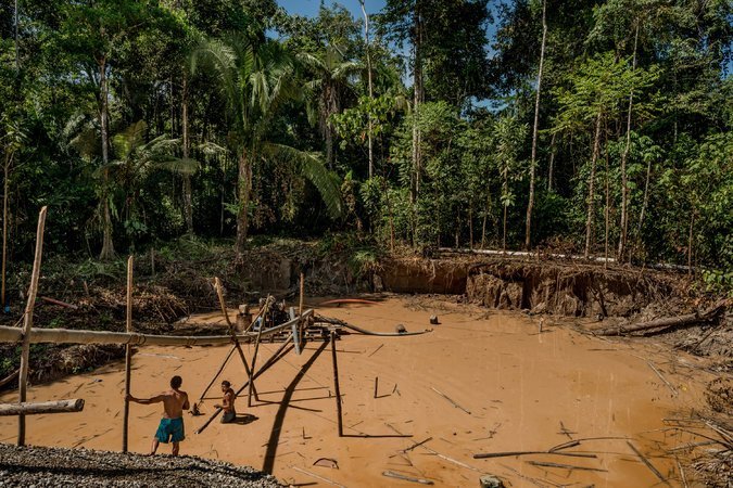 madre_de_dios_actualidad_ambiental_reserva_nacional_tambopata_4