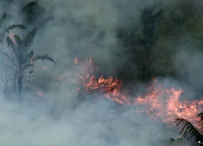 incendio-forestal-serfor