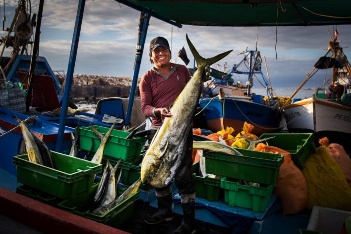 0-mar-y-pesca-el-taller