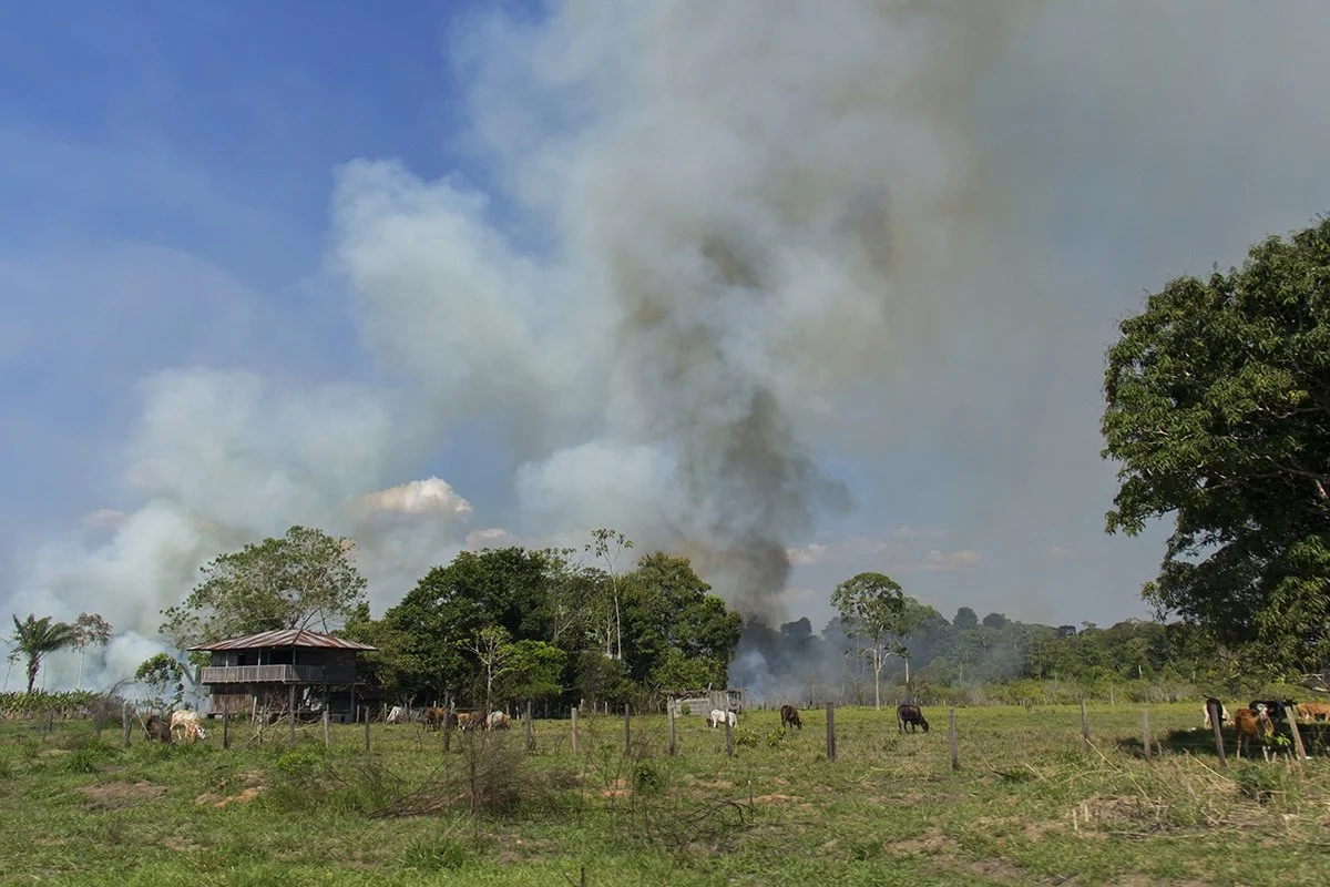 Quema de pastizales en Madre de Dios