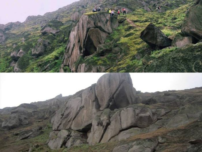 lomas-de-mangomarca-comparacion-spda