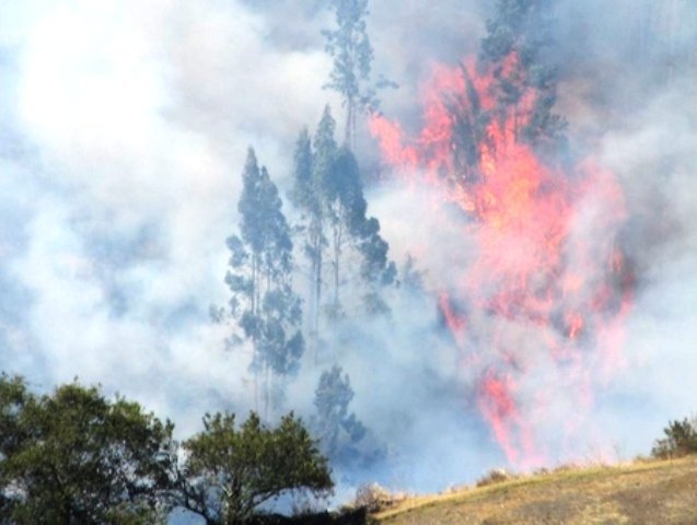 incendio-pallasca-rpp